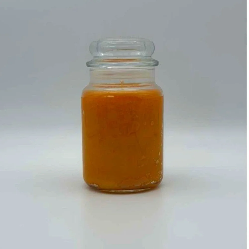 Yankee Candle‎ Harvest Large Jar - 22 oz Classic Scented Candle - NWT